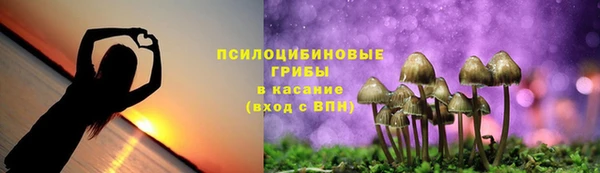jwh Ельня