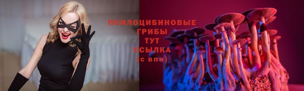 мескалин Елизово