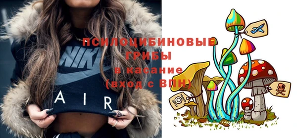 эйфоретик Елабуга