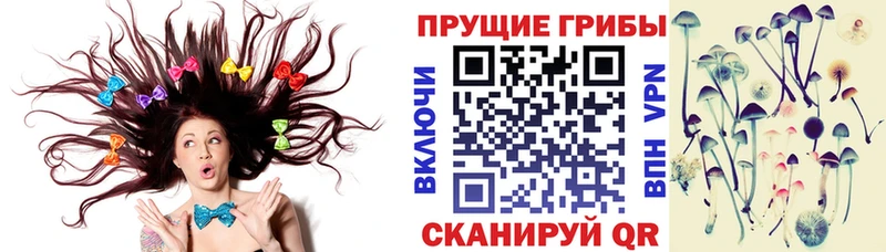 Галлюциногенные грибы прущие грибы  Купить где  Вихоревка 